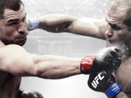 UFC 166